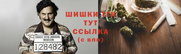 амф Верхний Тагил